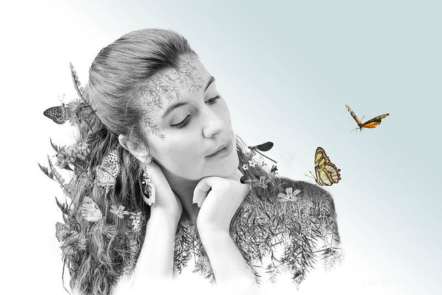 L'ile aux papillons (extrait de la série dans ma tête ...)