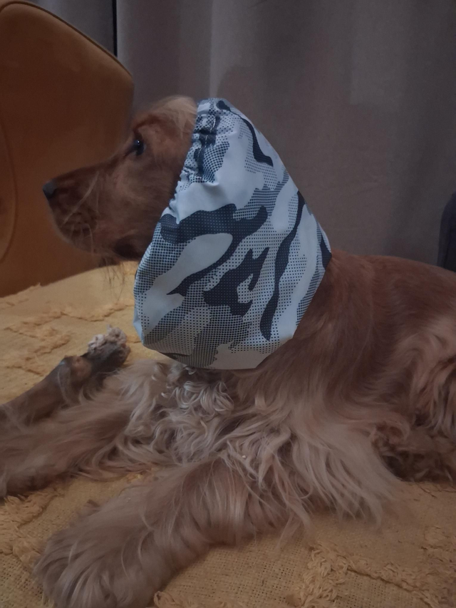 Snood Taille L Imperméable Snow Camo Doublé Coton Noir 