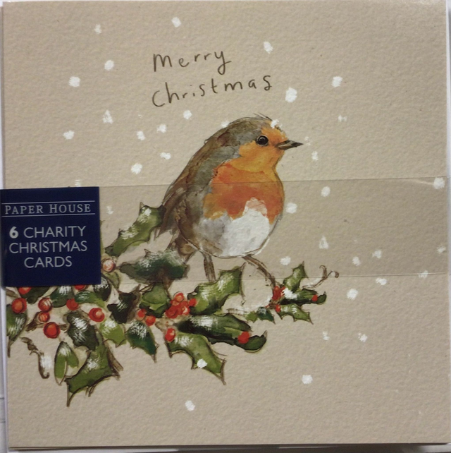 Christmas Pack of 6 by Paper House (Robin) 