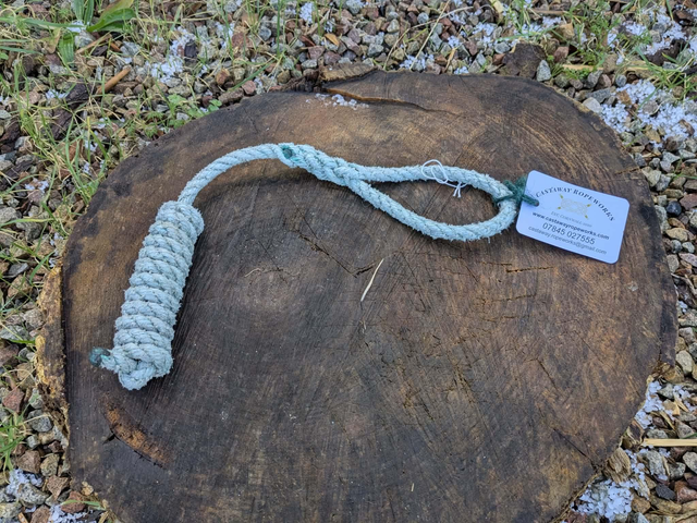 Dog Throw Toy - Hayle (Small)