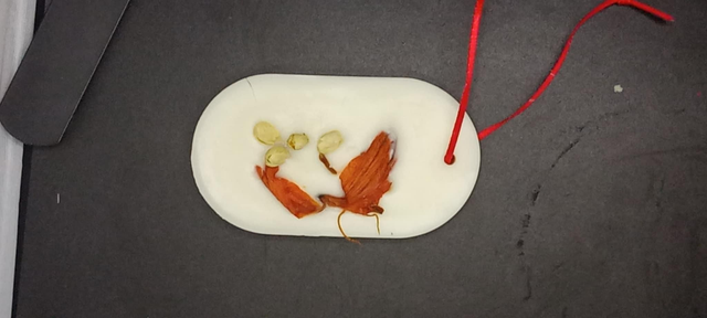 Bloc smelly pour armoire 