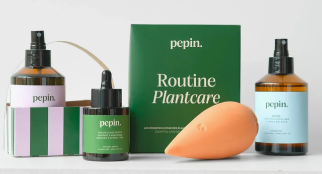 Routine de soin des plantes