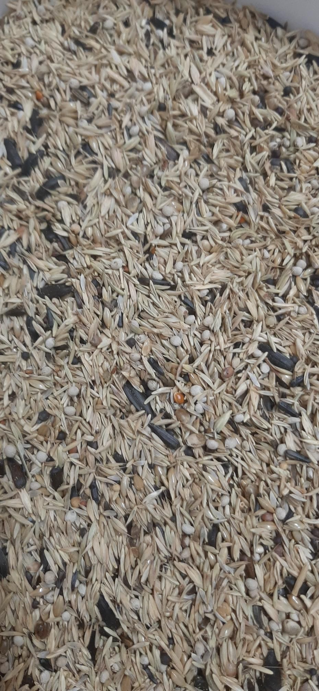 Misto indigeni 1 kg sfuso