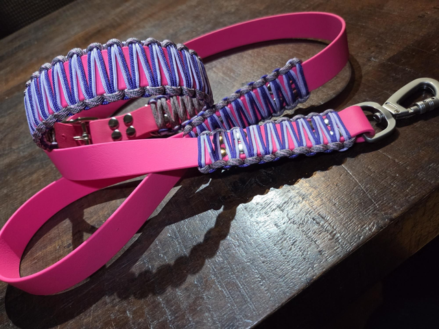 Biothane with woven paracord