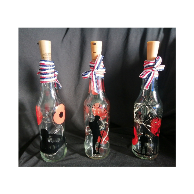 VE Bottle Lights (2)