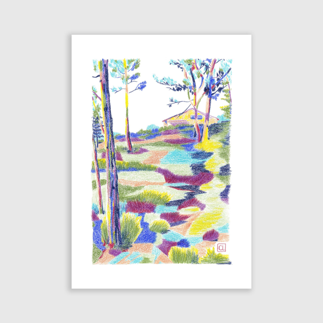 Tirage d'art - Garrigues