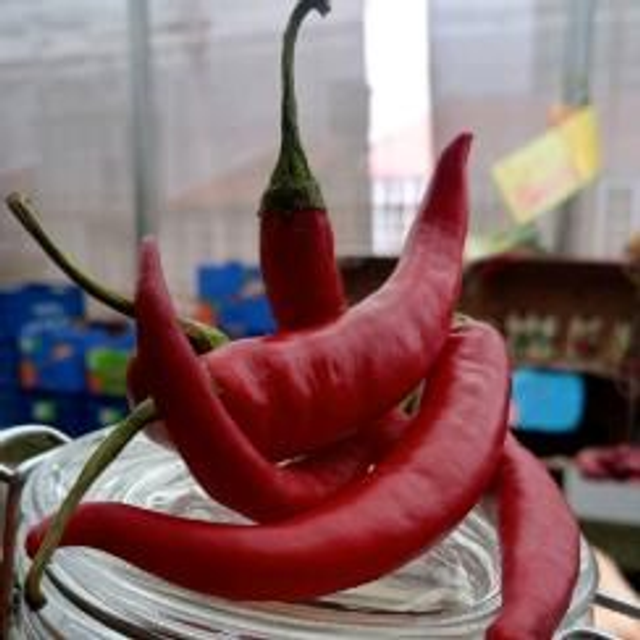 chile picante rojo