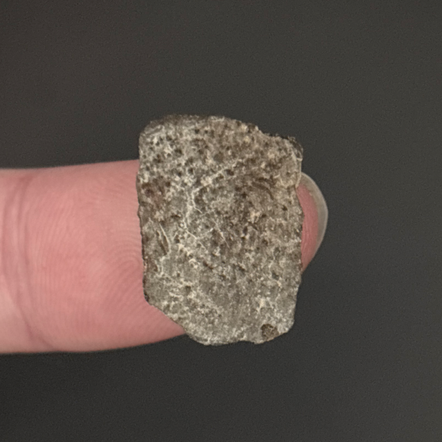 Therizinosaurid Eggshell