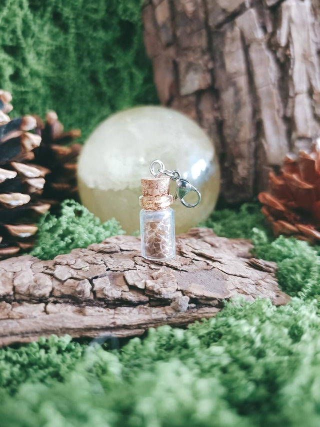 FIOLES - MUE DE SERPENT (petites)