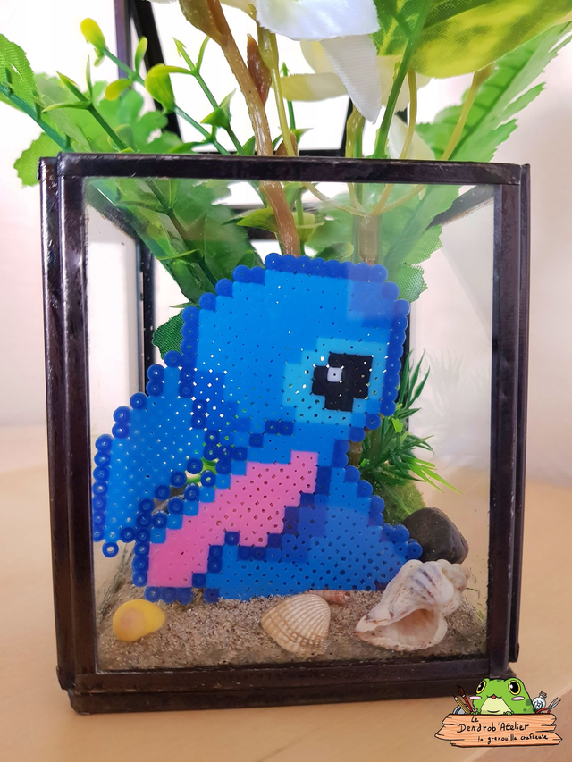 Compagnon sur la plage