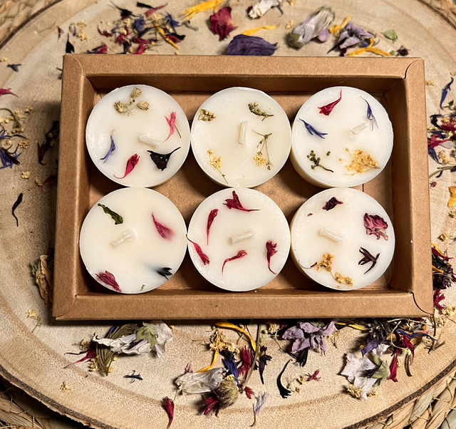 Boîte de 6 mini bougies - Fleur de coton 🤍