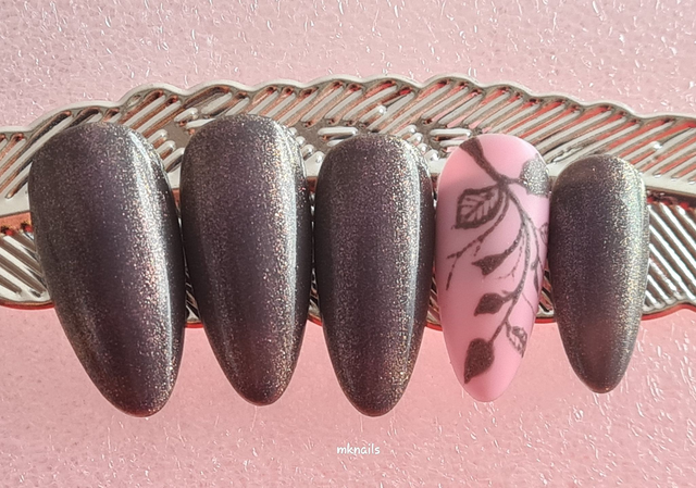 Branche Pailleté (brillant et matte) 22 Presson&#039;s