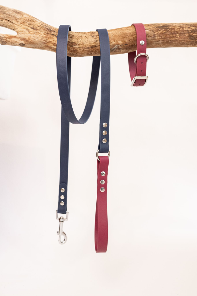 Laisse Bleue/Prune en Biothane®