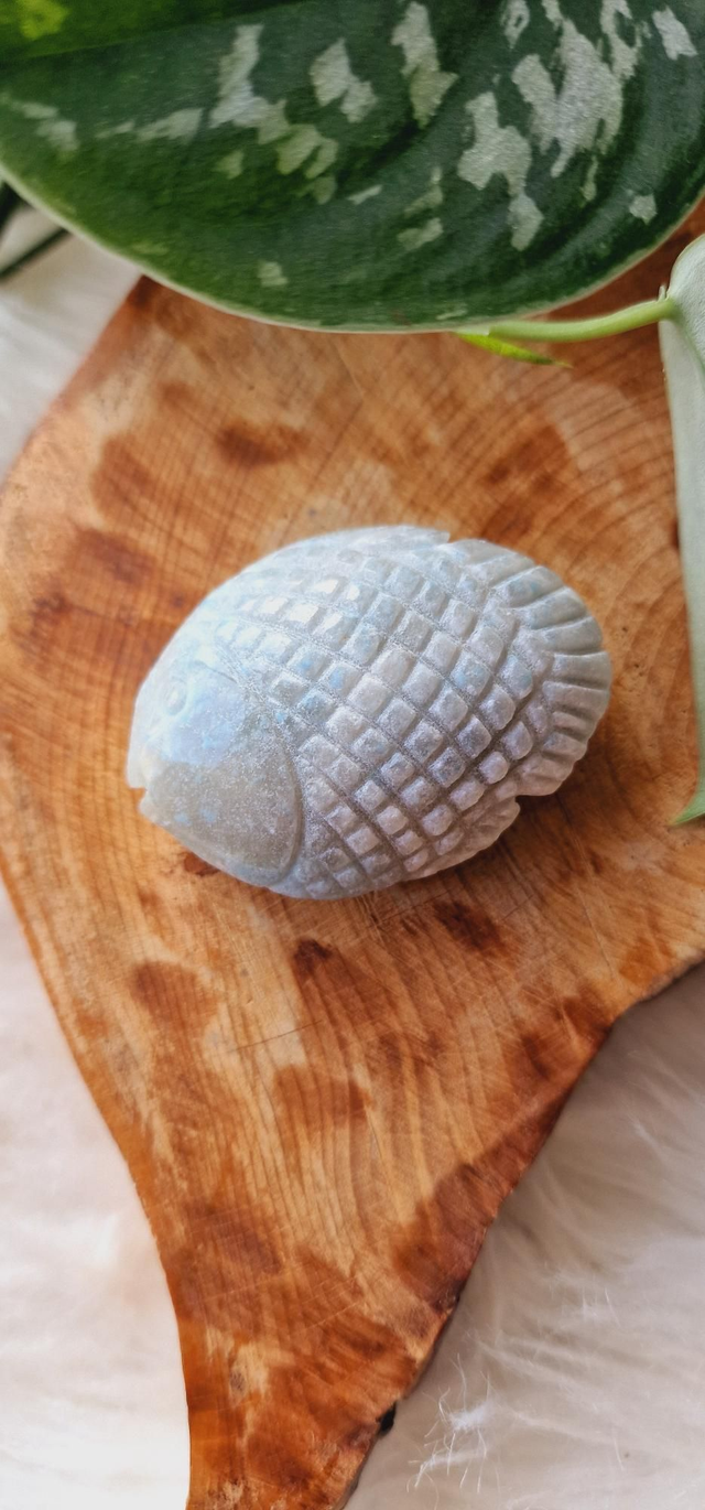 Trolleite Fish Carving 