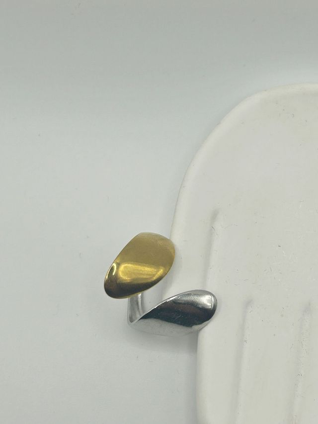 Stainless Steel Ring (SSR31J)