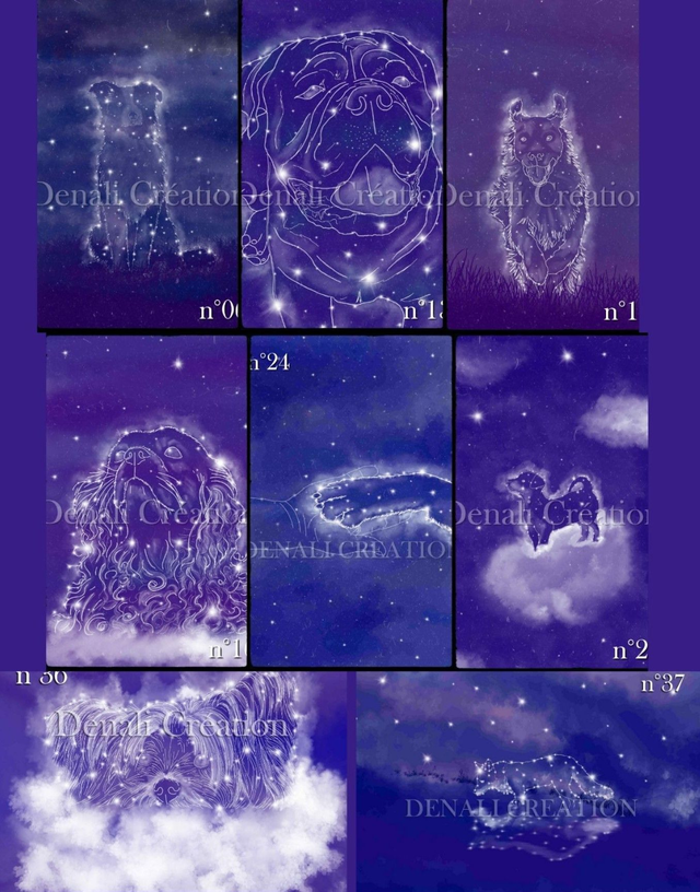 Affiches et posters CHIENS