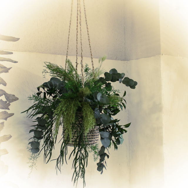 CL245 Colgante techo. Preservados 