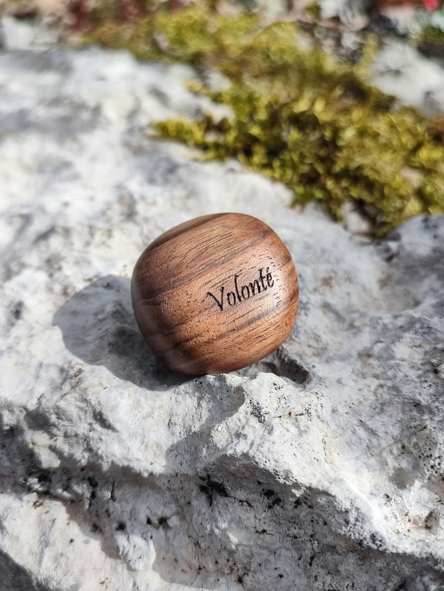 Caillou en Bois de Noyer Noir "Volonté"