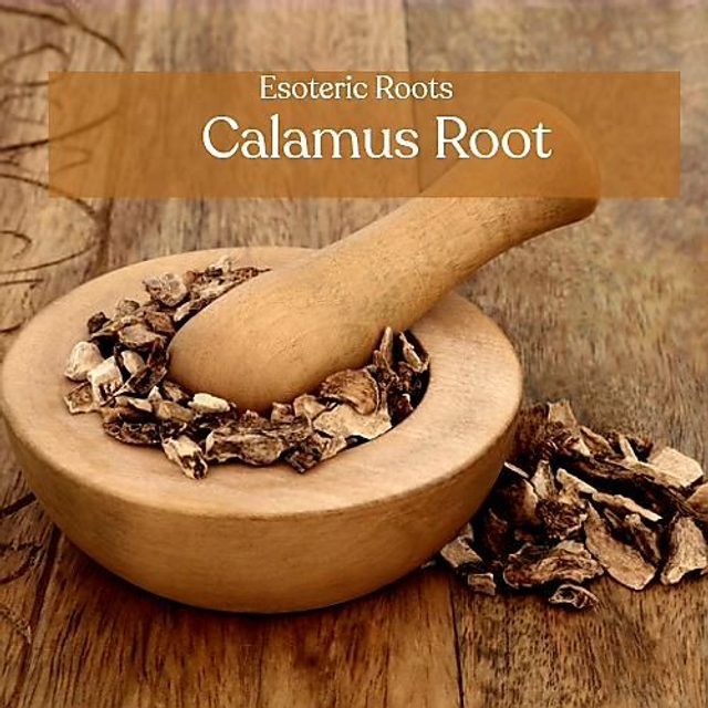 Calamus Root | 10g Sovereignty Curio | Focus &amp; Traditional Ward Magic