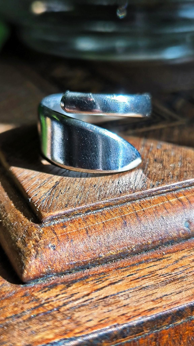 Bague en acier inoxydable T58