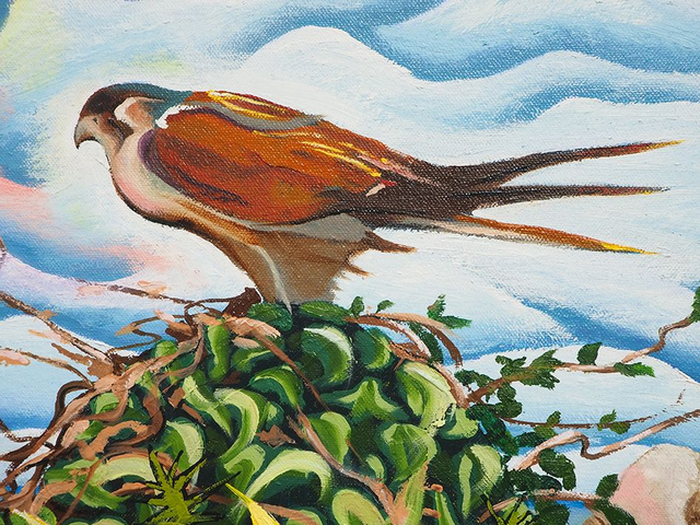 Kestrel with Gorse Flowers (2024) Sarah Macdonald