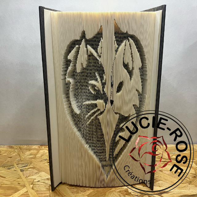 Livre sculpté "Entrechats"