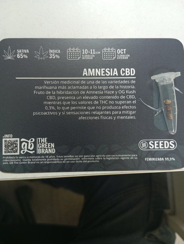 3 semillas Amnesia CBD