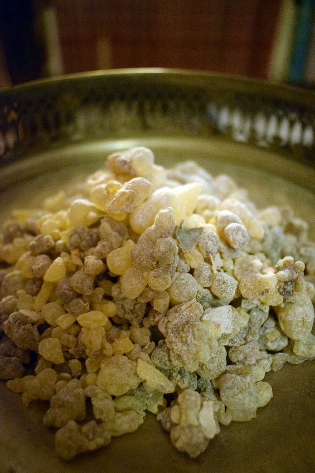 Larmes d'Oliban - Royal Saïbi Blanc de Salalah - Sultanat d'Oman