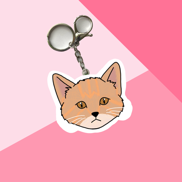 CAT keychain - Ginger
