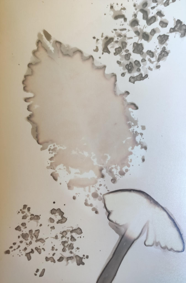 Bouquet d'automne – Molène floconneuse et champignon