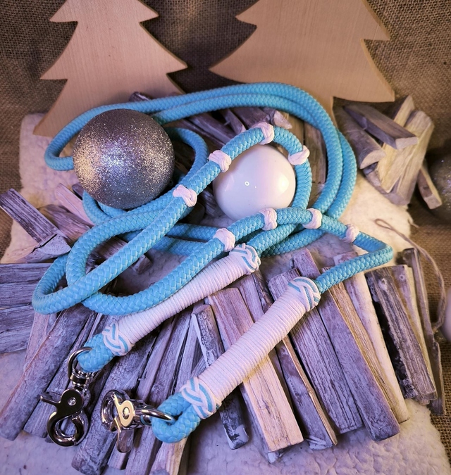 ❄️ Rênes fines "Arctique"