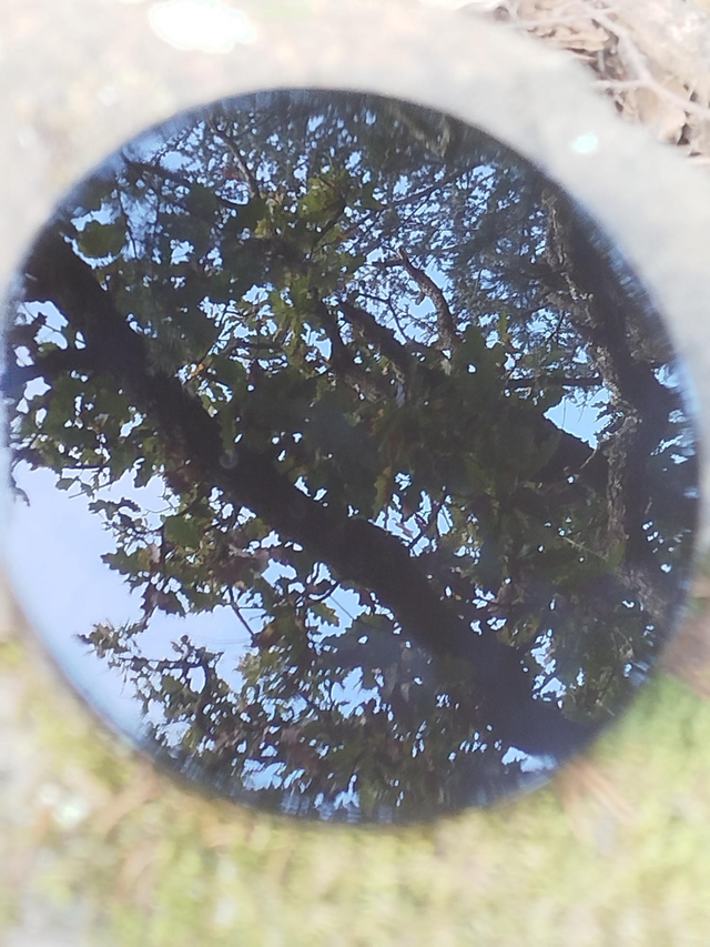 Miroir Obsidienne noire