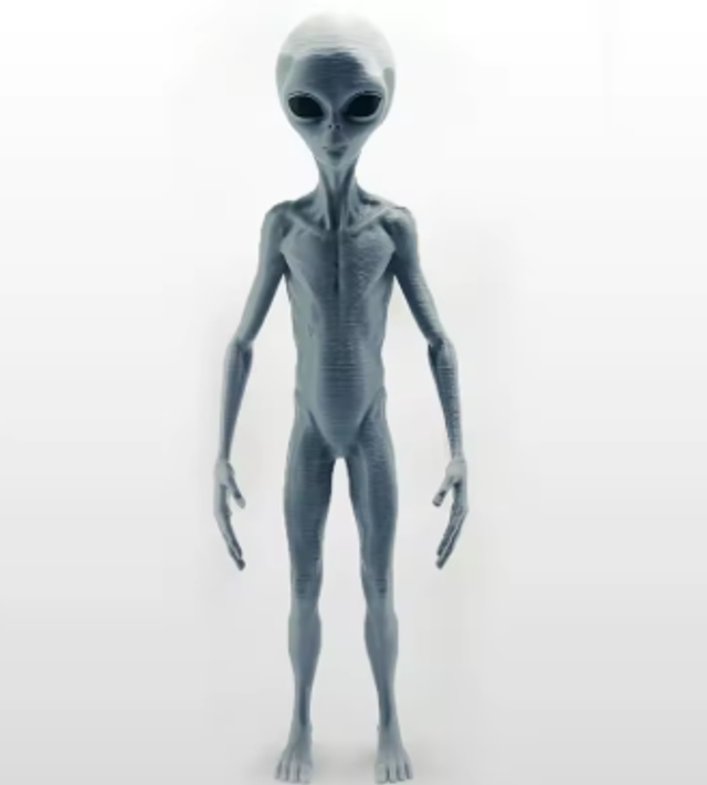 Realistische Grey Alien figuur staand (21cm)