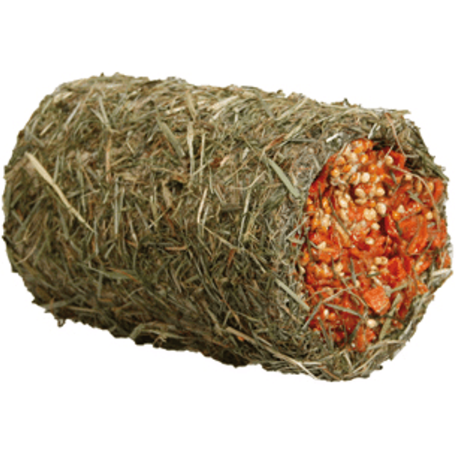 Rabbit Tunnel Filled with carrott