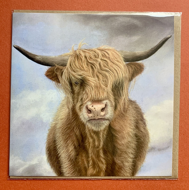Greetings Card - Highland Cow - Blank Inside