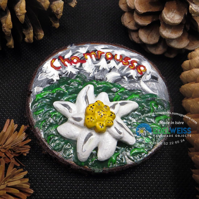 Chamrousse - edelweiss