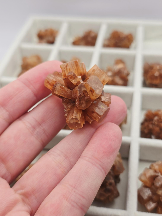 Aragonite forme cristaux