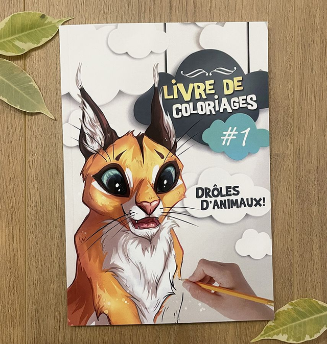 Livre de coloriages "Drôles d'animaux 1"
