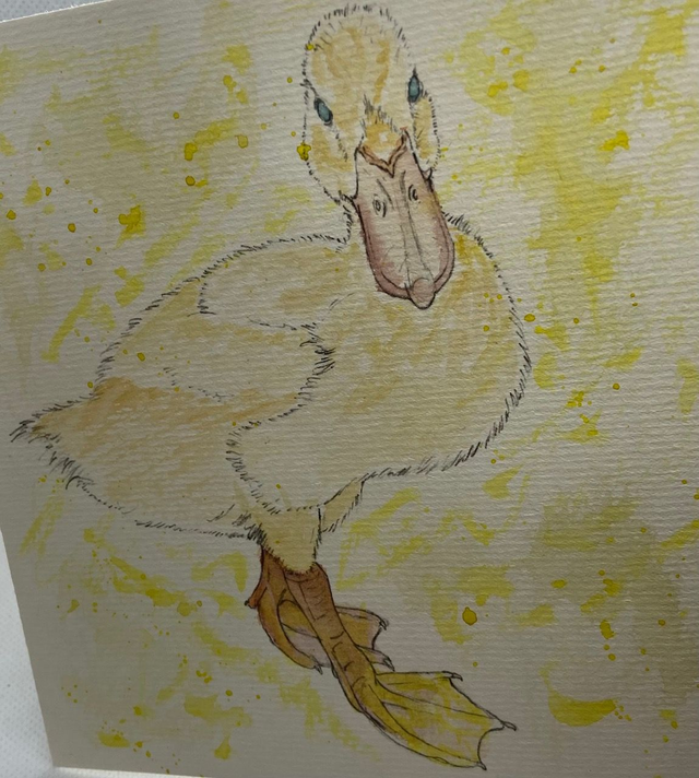 Hand painted Watercolour cards