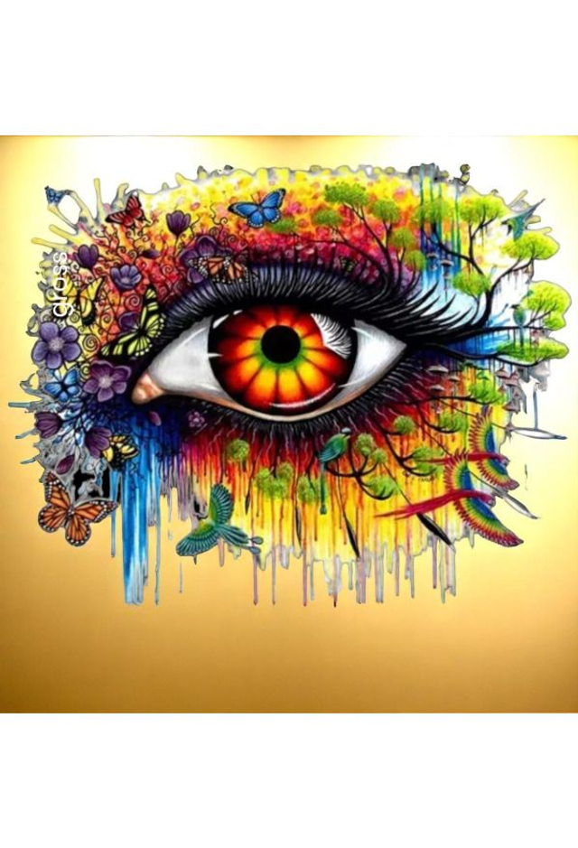 WorldEye