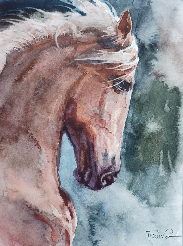 Koń, 35x28 (24x18 w świetle passe-partout) akwarela 2022
