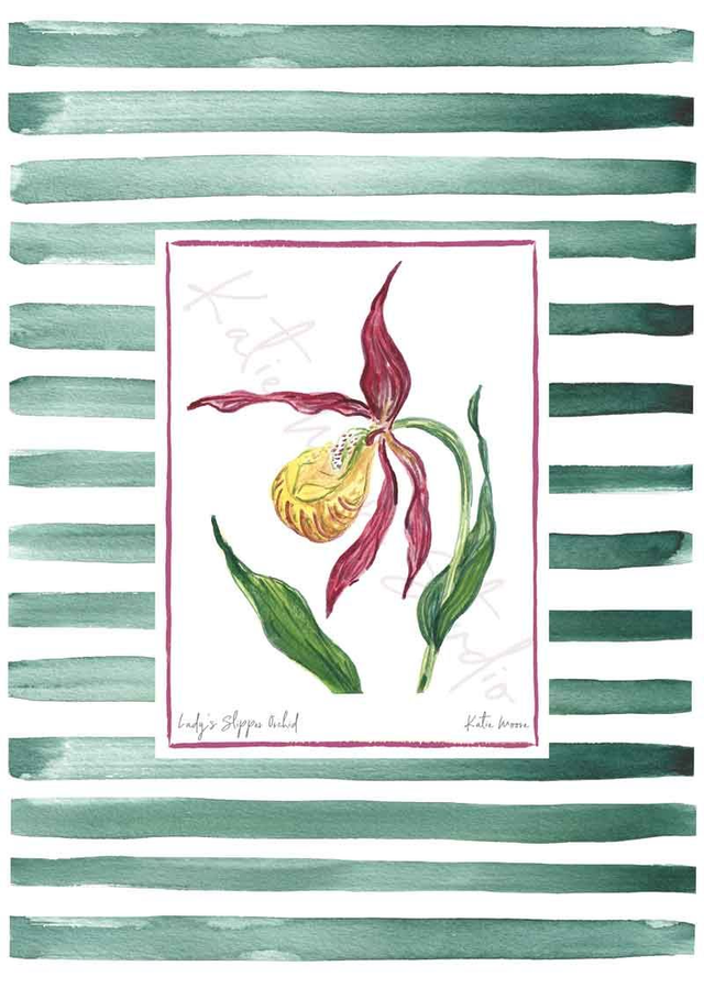 Lady's Slipper Orchid Stripe