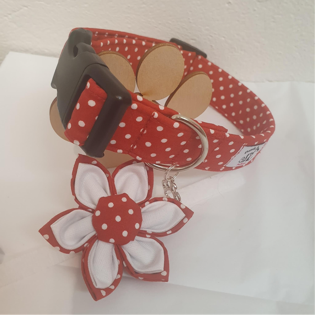 Red Polkadot Collar    