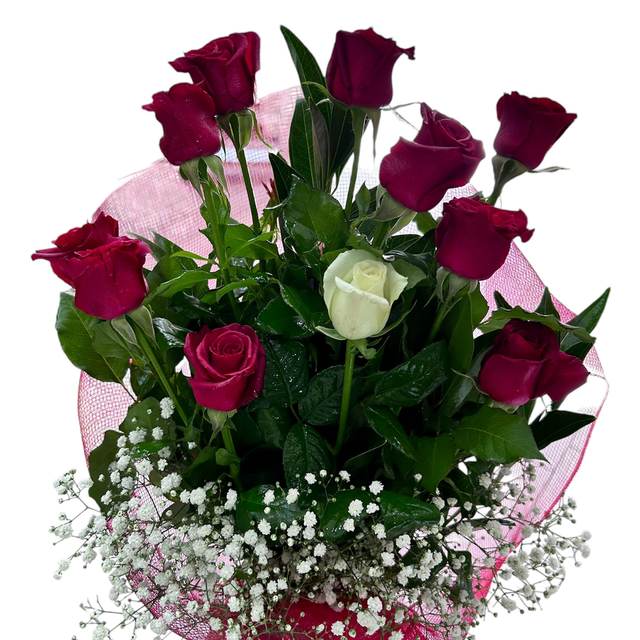 Fascio di 10 rose rosse più 1 bianca 