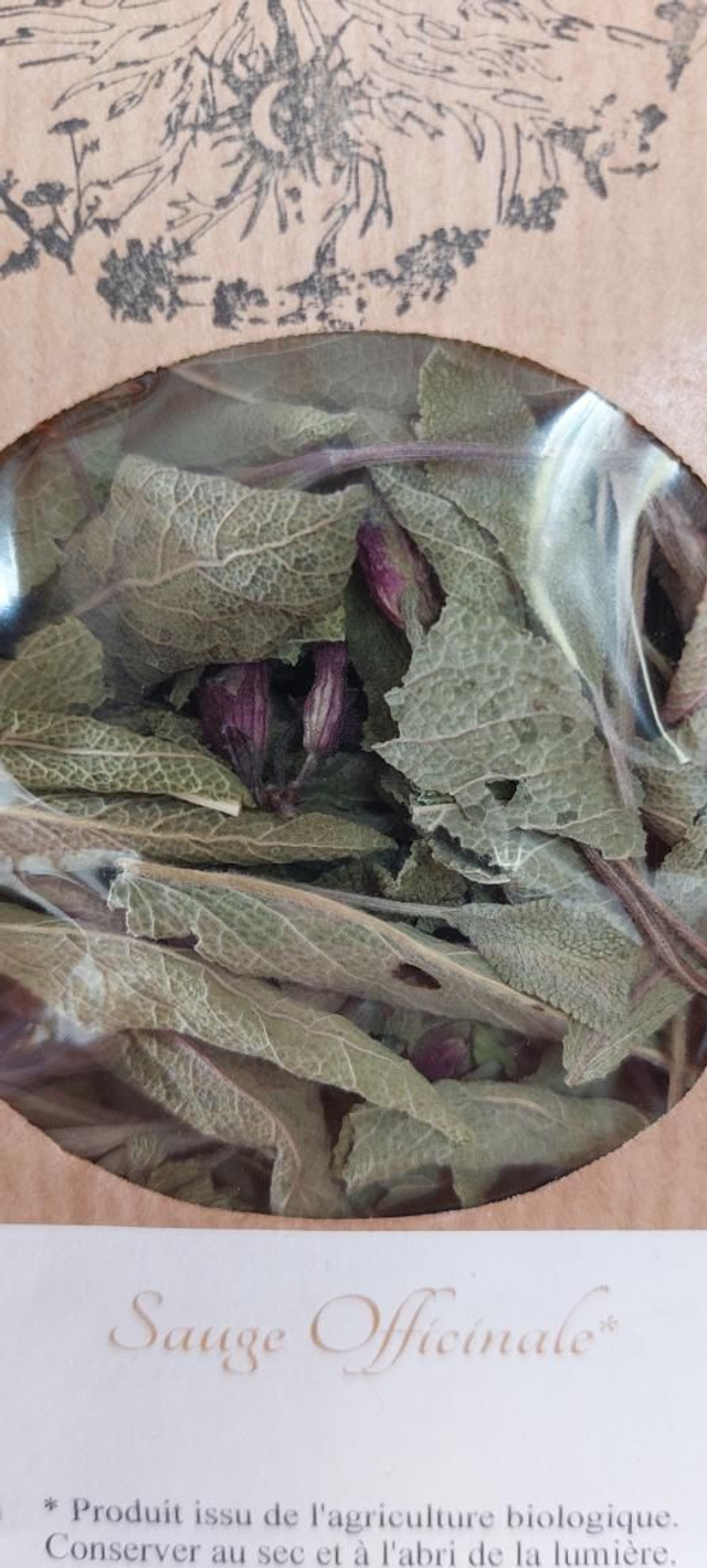 Sauge officinale 