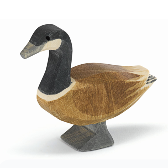 Ostheimer Kanadagans stehend 