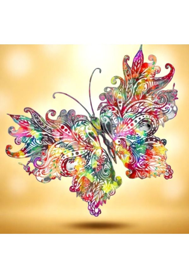  ColorButterfly