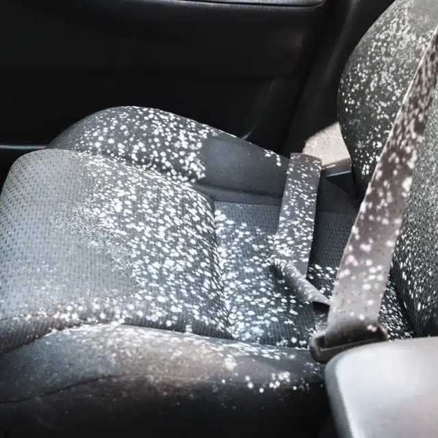 Véhicule avec de la moisissures