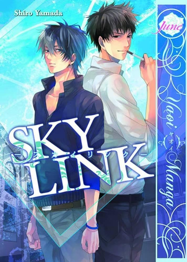 Sky link