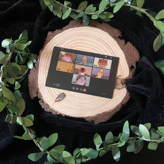 Sticker Tarjeta Crédito // Llamada animales